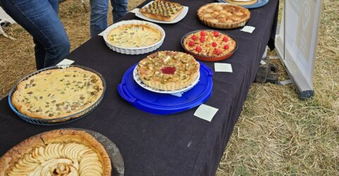 concours tartes